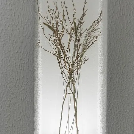 Venus Minimal 호텔