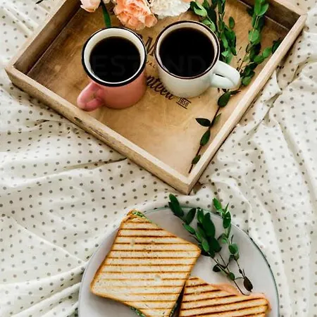 Venus Minimal 호텔